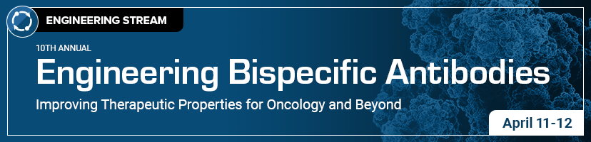 Engineering Bispecific Antibodies