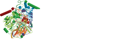 PEGS Boston